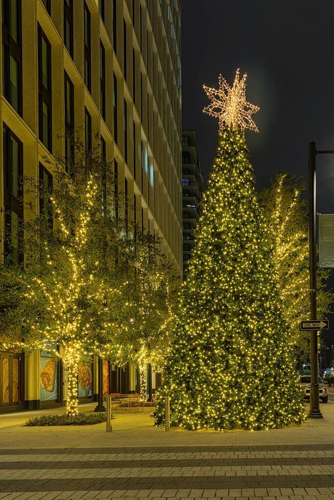 Christmas decorations Water Street Tampa - Christmas Tree.
