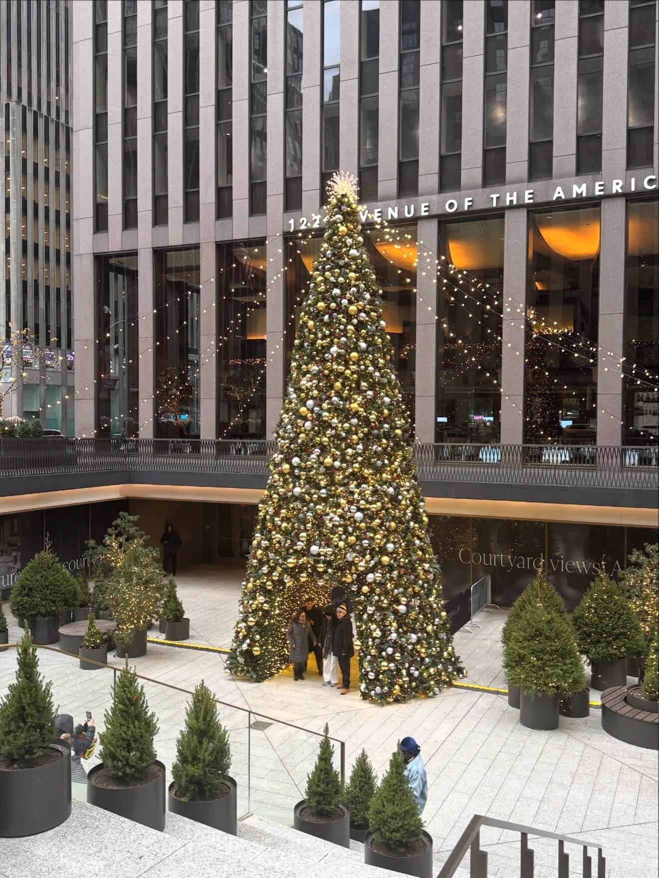 Large decorated Christmas tree in an outdoor plaza surrounded by smaller potted evergreens.