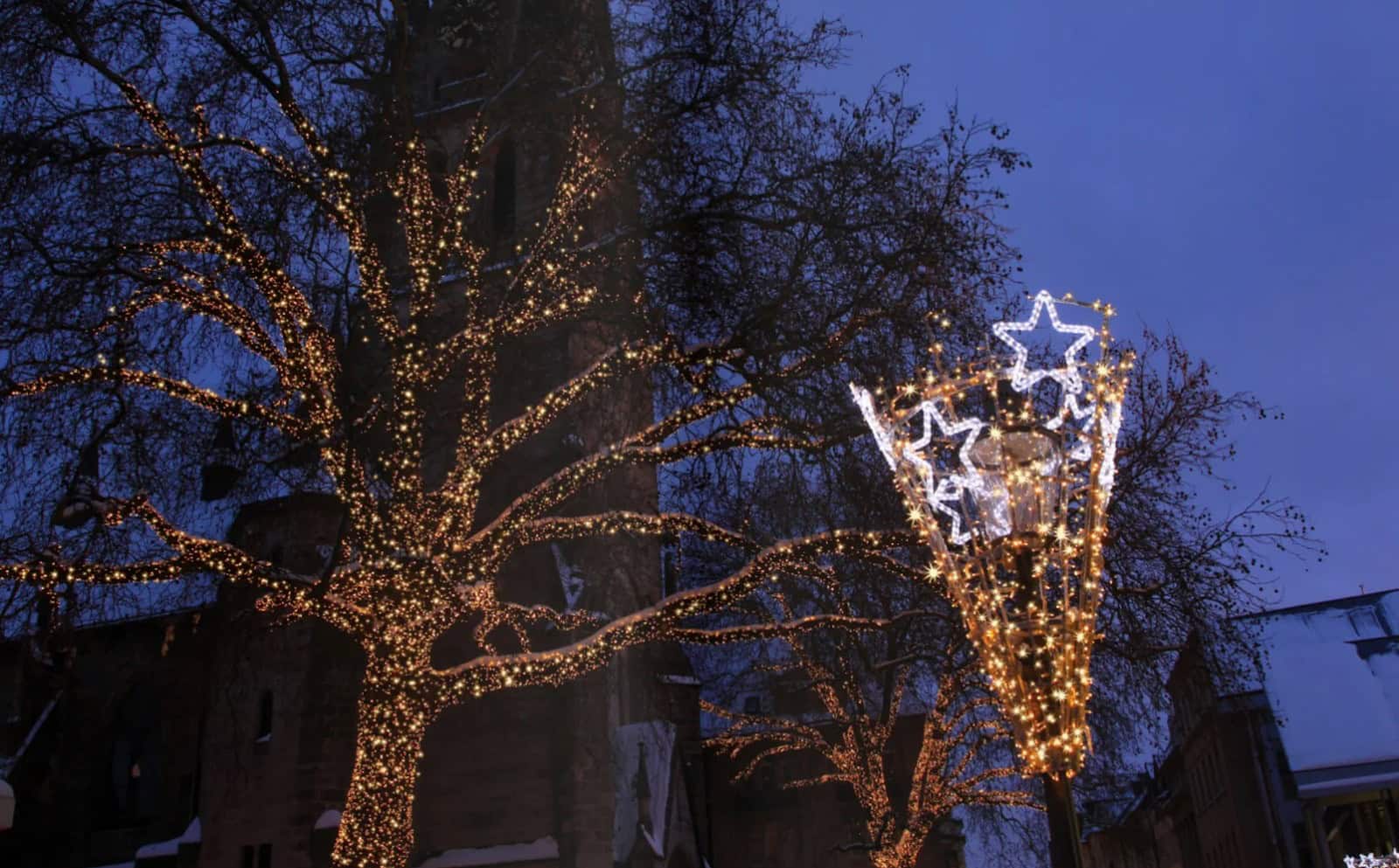 Christmas lights on the tree and pole mounted decor featuring shooting stars.